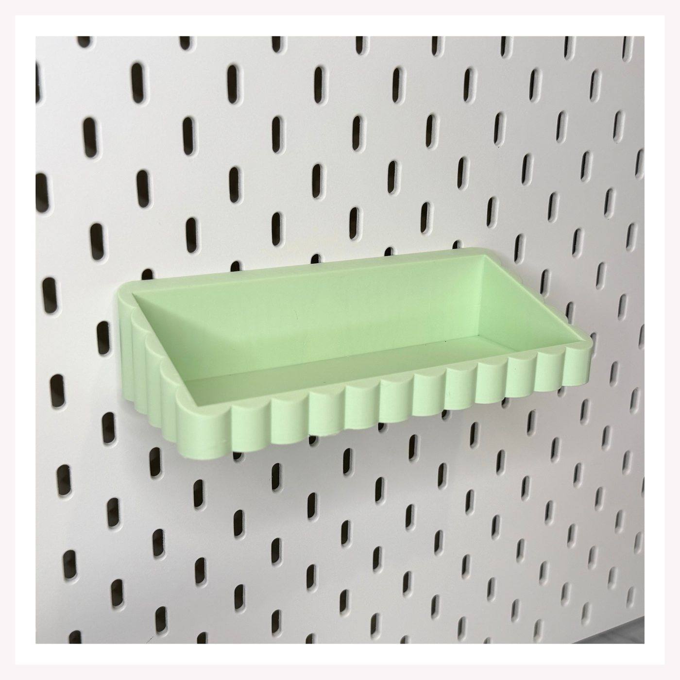 Large Scallop Storage Tray
